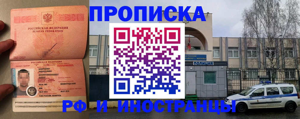 временная регистрация собственник в Курске